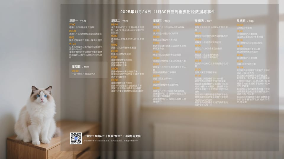251124 每周分析 Ep42 END